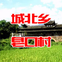 无照片 城北乡皂口村 | 方陈秀