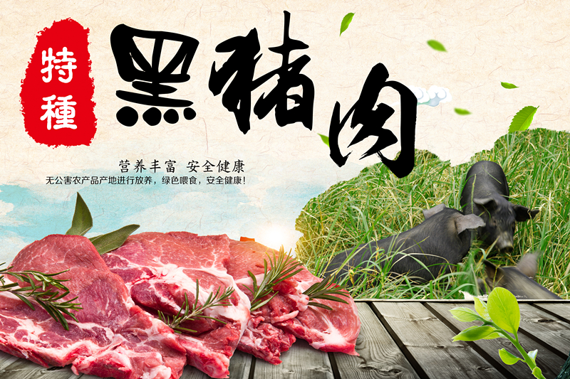 特種黑豬肉，清明節(jié)促銷活動(dòng)