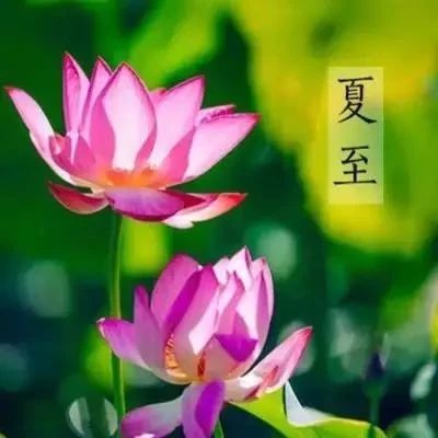 親，開心的秘方，送給你！
