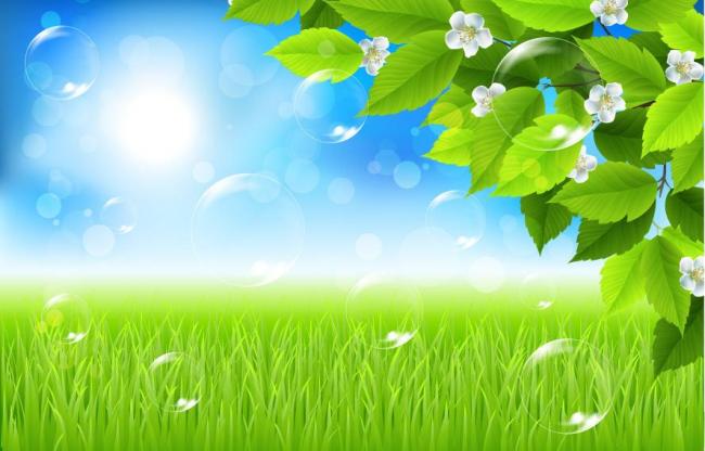 一起来踏青:春日出游记