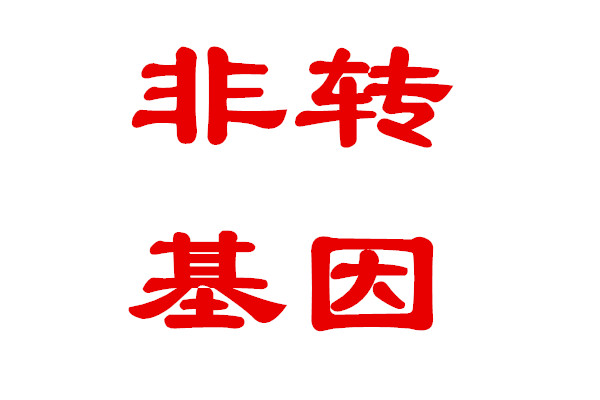 非轉基因，審定品種，不操心的好品種----美聯178